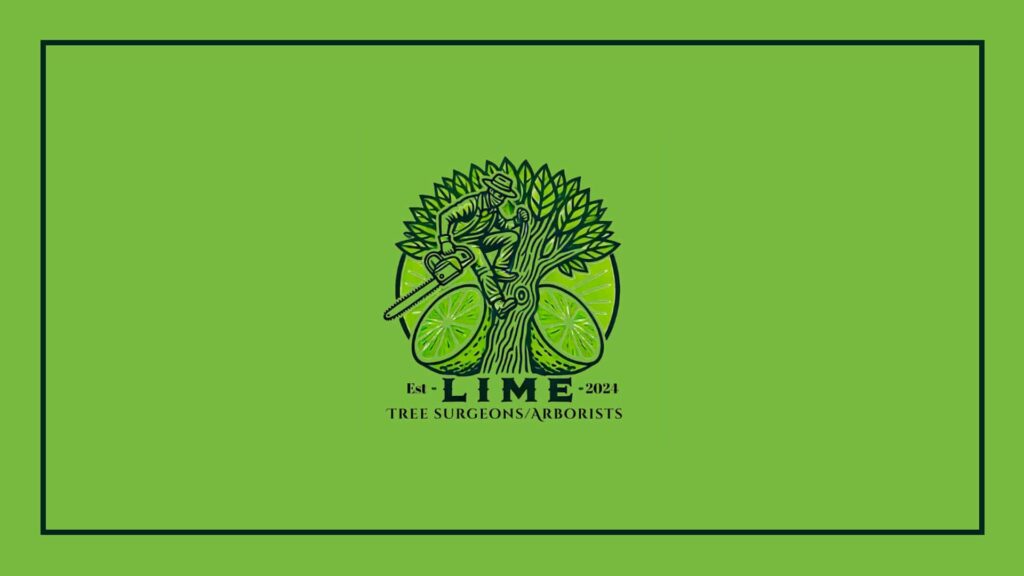 lime-tree-surgeon