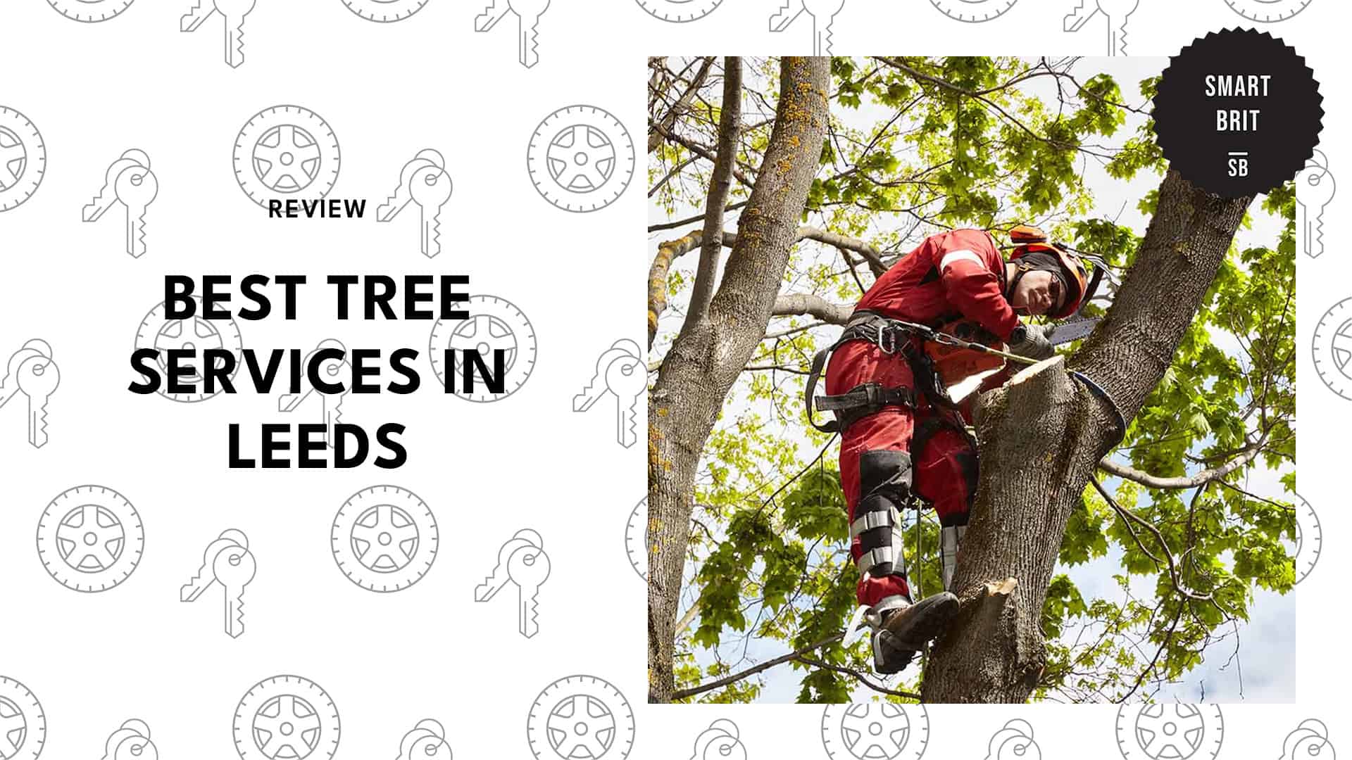 tree-services-in-leeds