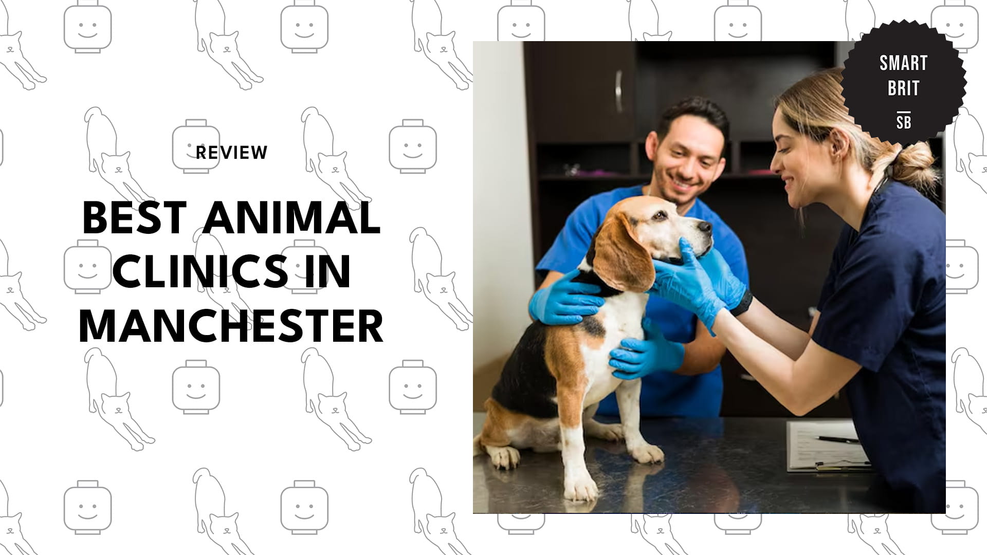 animal-clinics-manchester-banner