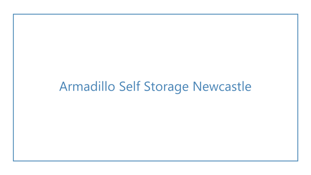 armadillo-self-storage-newcastle-logo