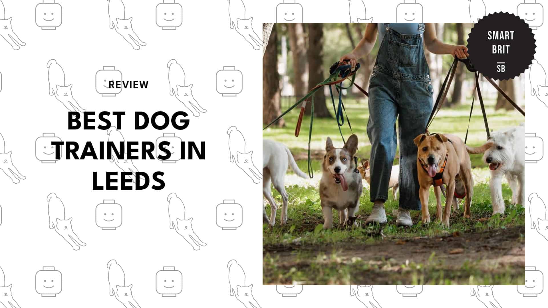 best-dog-trainers-leeds