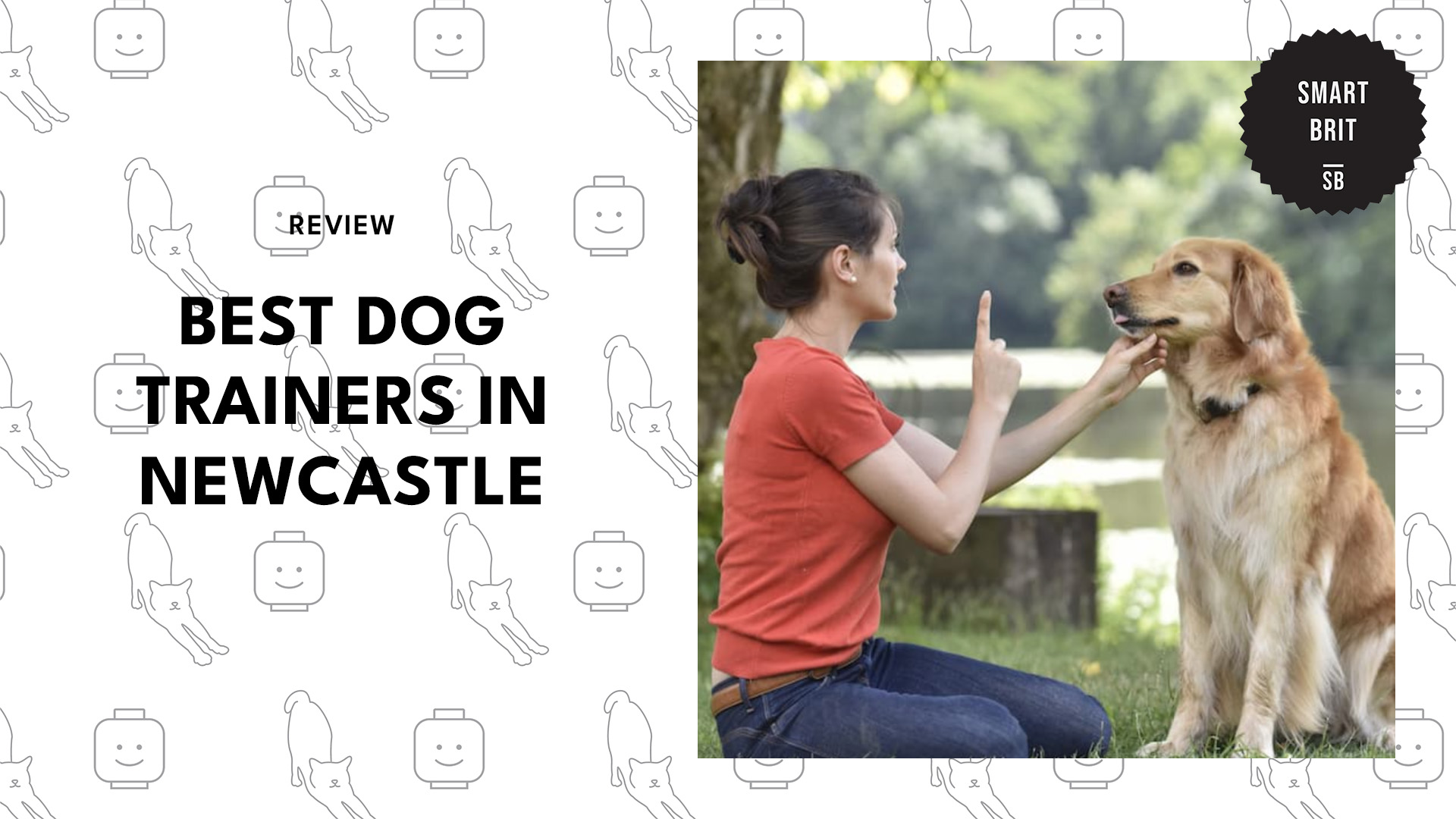 best-dog-trainers-newcastle-banner