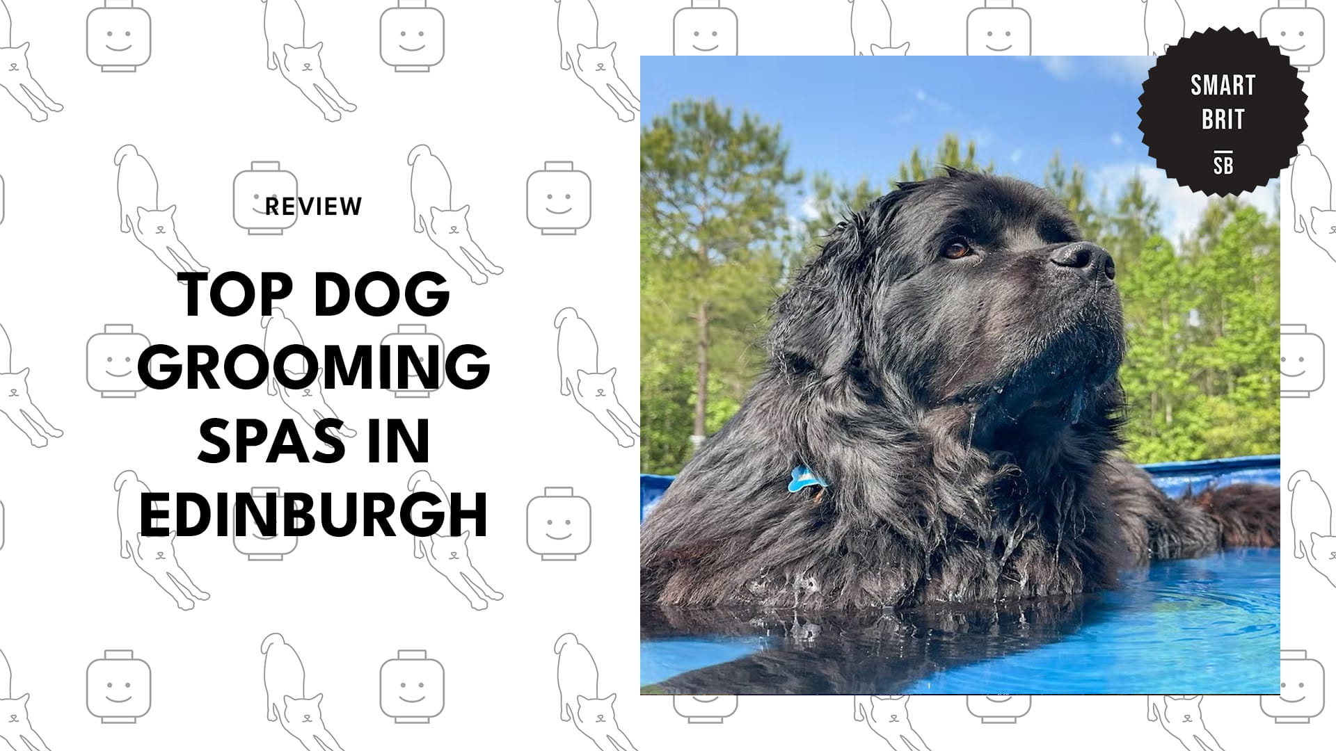 dog-grooming-edinburgh-banner