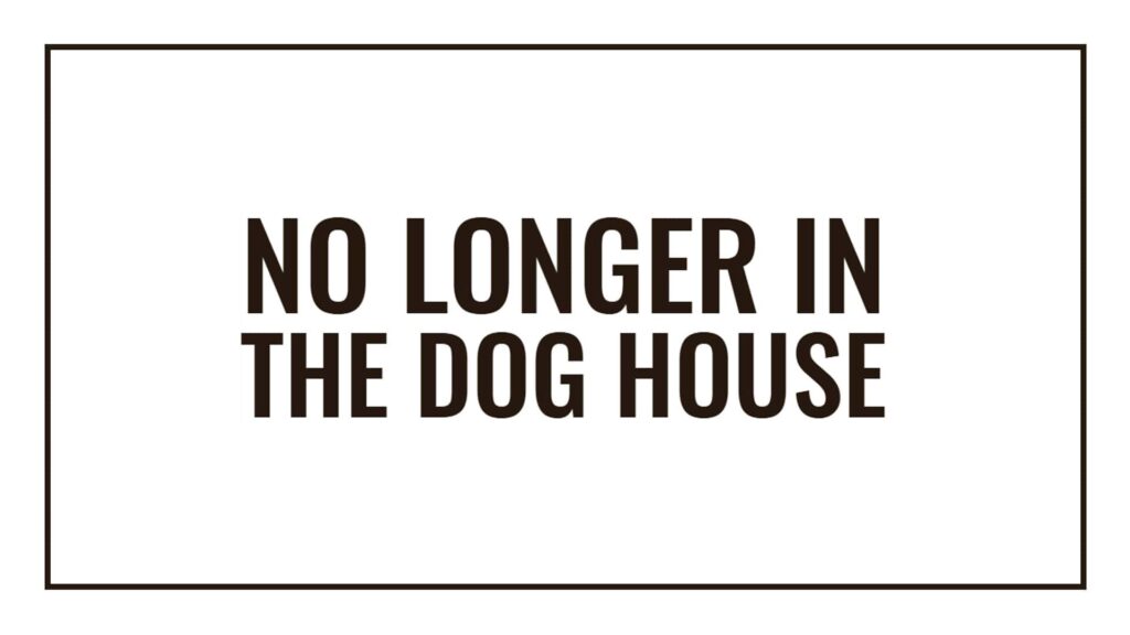no-longer-in-the-doghouse