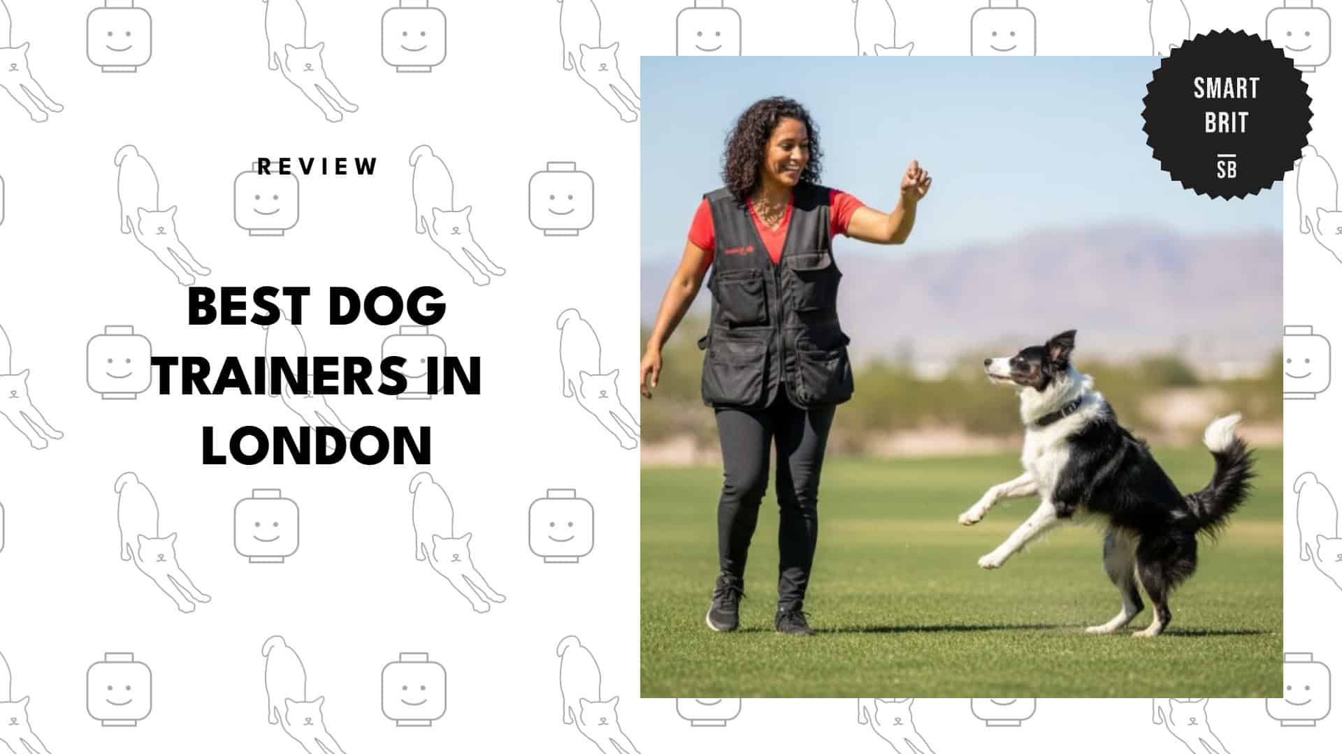 dog-trainers-in-london