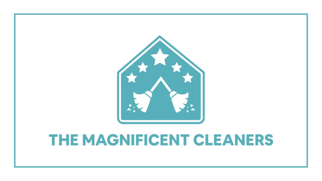 the-magnificent-cleaners-ltd
