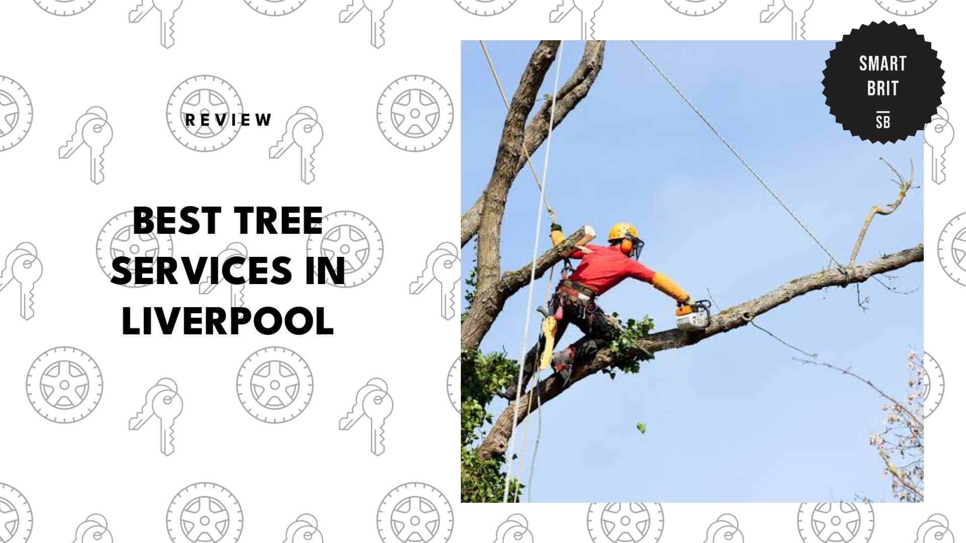tree-services-in-liverpool